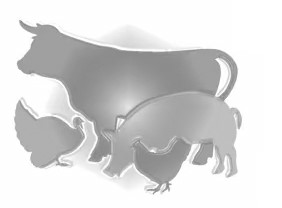 VetGRAM Logo